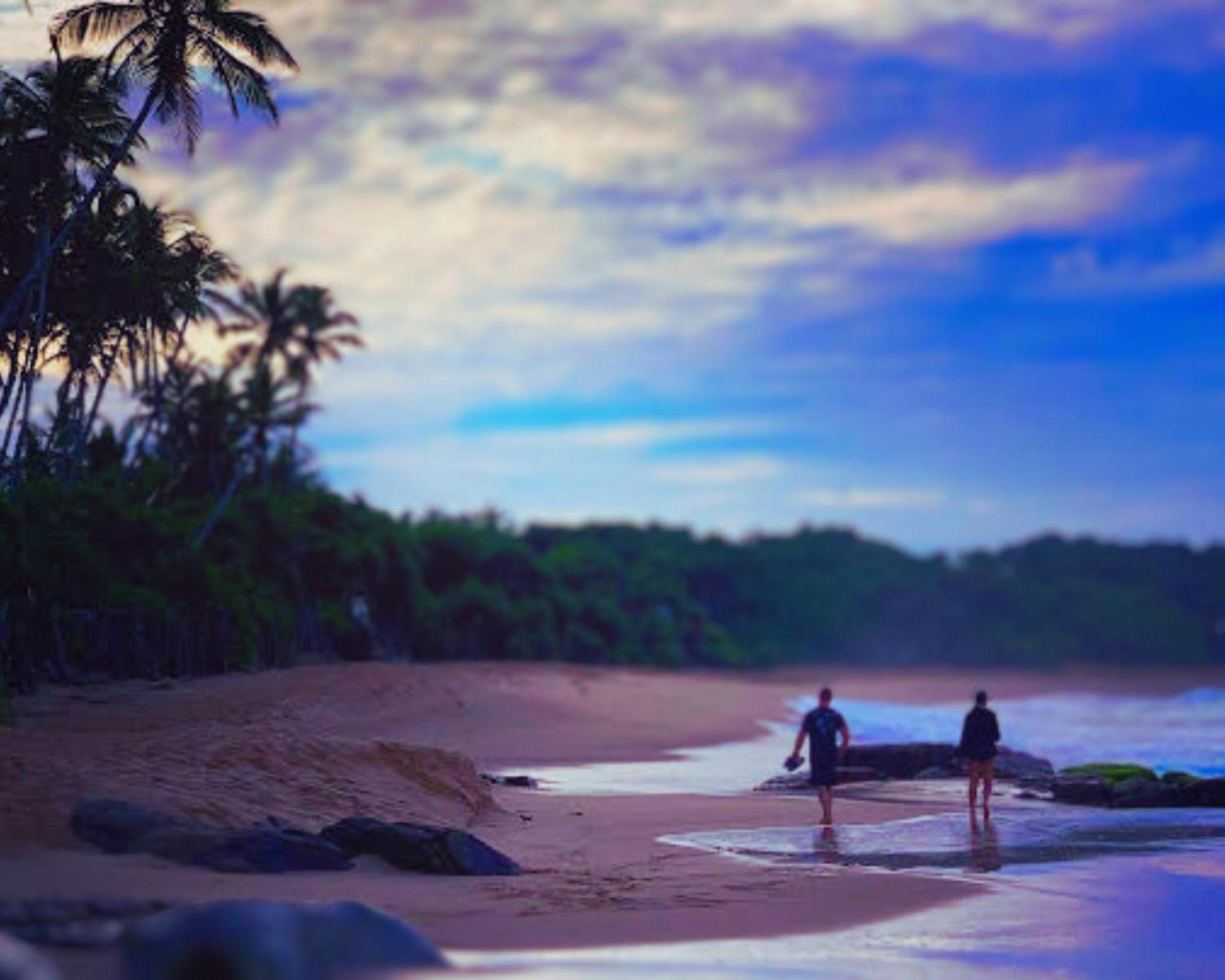 Amour At Turtle Beach Bed and Breakfast Tangalle Exteriör bild